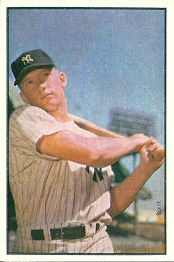 SportsTradersJournal