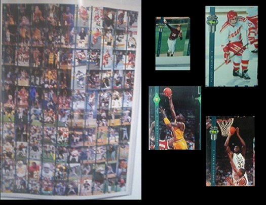 SportsTradersJournal